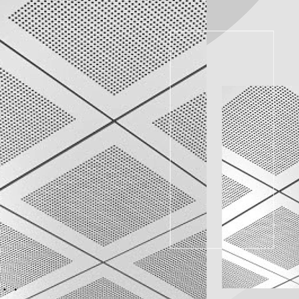 Clip-in System 30x30